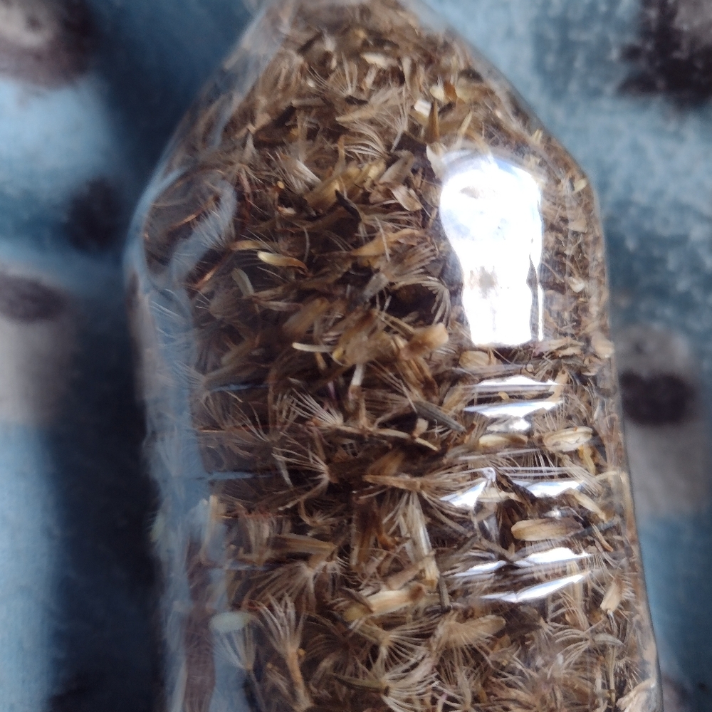 Dense Blazing Star Seeds